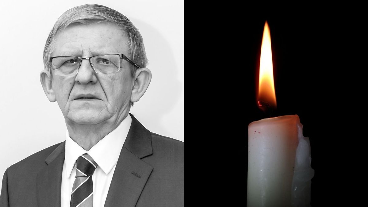 Prof. Leszek Paradowski. Fot. Uniwersytet Medyczny we Wrocławiu.