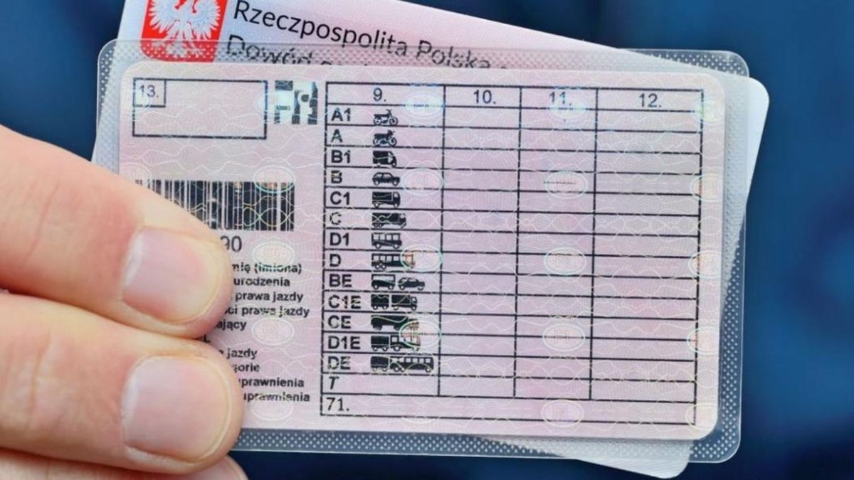 Wzór prawa jazdy. Fot. samorząd.gov.pl.