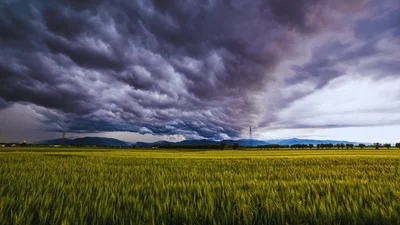 IMGW bije na alarm. W tym regionie zrobi się niebezpiecznie, wydano pilny alert do mieszkańców