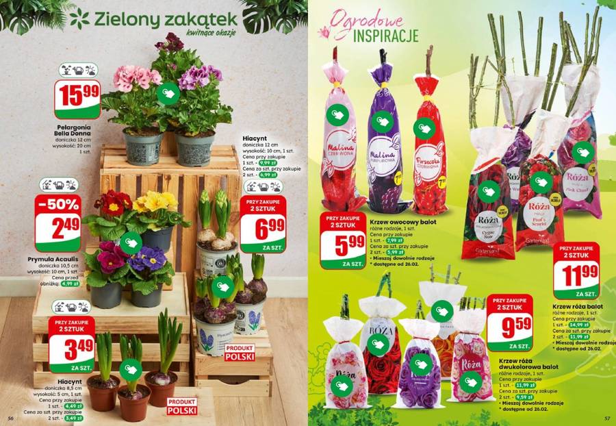 Nowa gazetka Dino. Fot. marketdino.pl