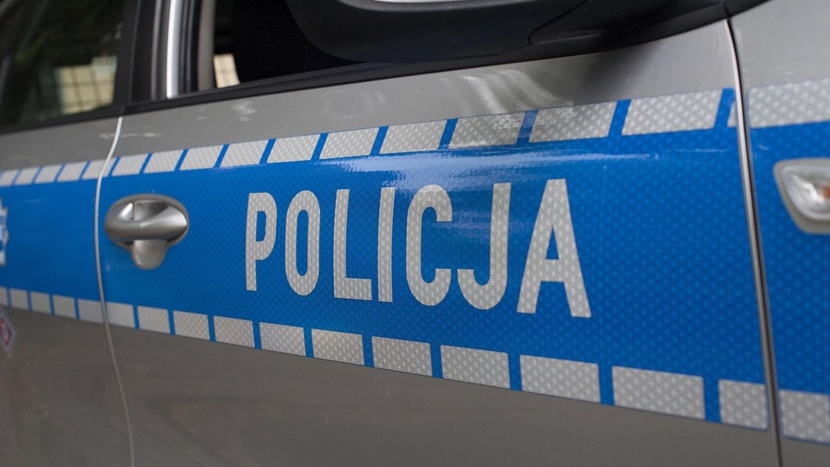 Policja, fot. Andrzej Rembowski z Pixabay