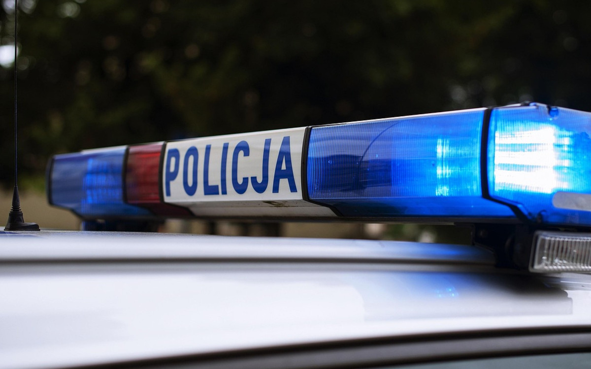 Porażające sceny w Warszawie. Nie żyje młoda kobieta i pies, pilna akcja służb