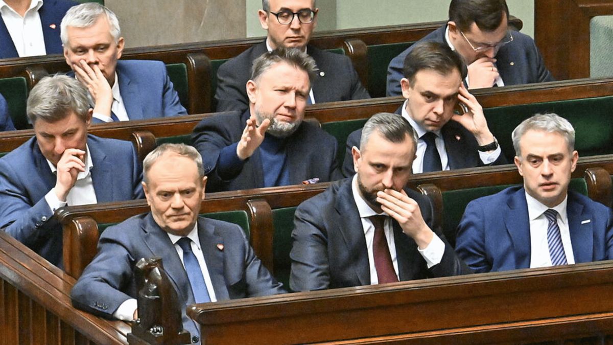 Rząd, Fot. KAPiF