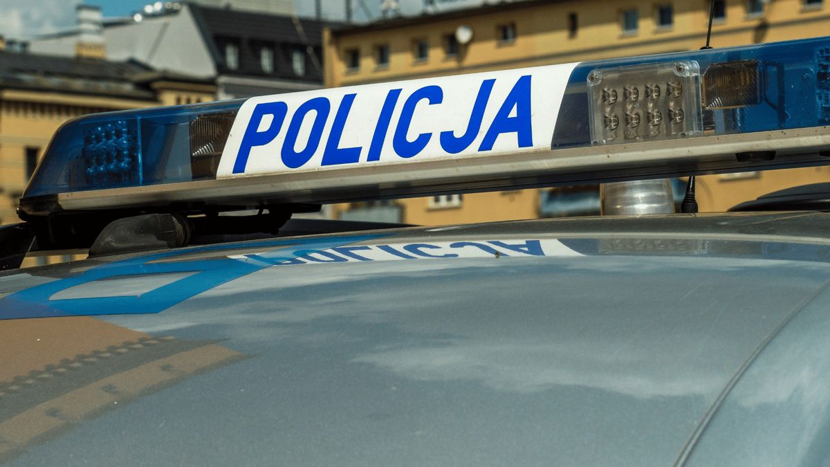 Policja. Fot. Pexels