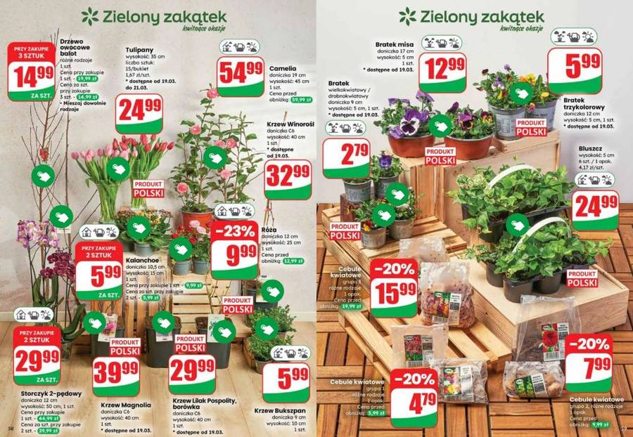 Nowa gazetka Dino