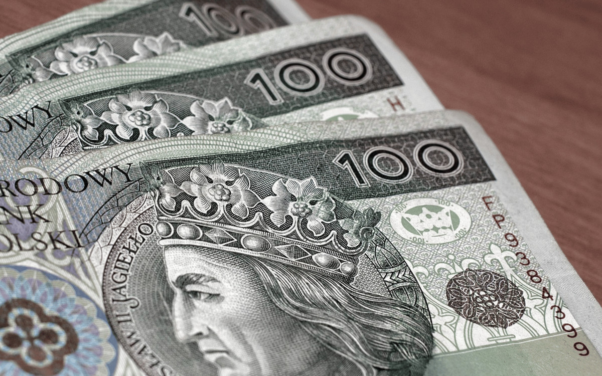 Czy 800 plus powinno być wypłacane obcokrajowcom? Najnowszy sondaż jest bezwzględny