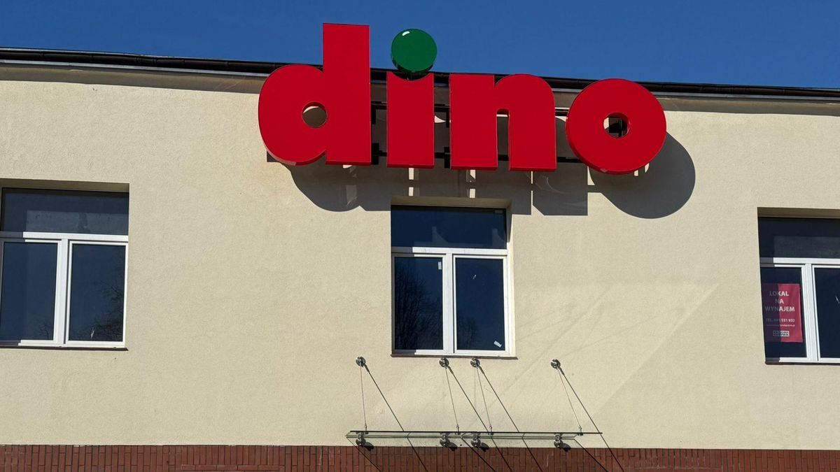 Dino fot. materiały własne