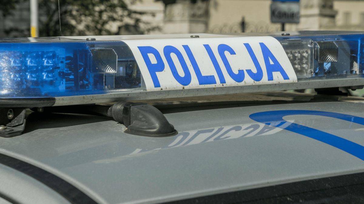 Policja. Fot. Pexels