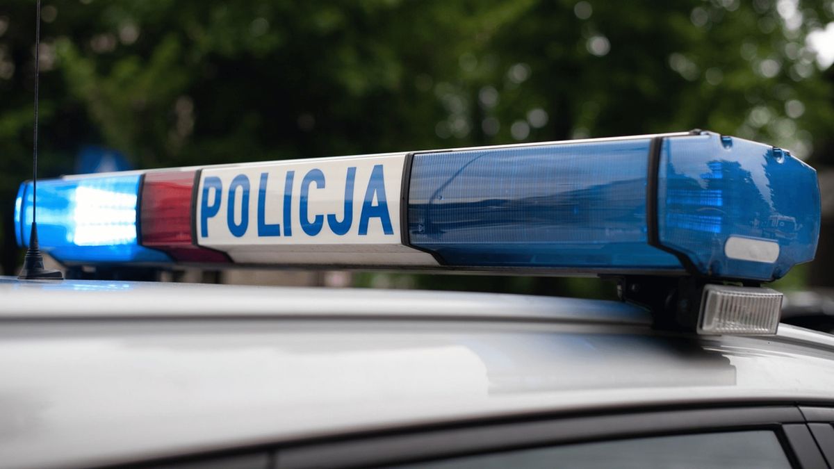 Policja, Fot. Pixabay