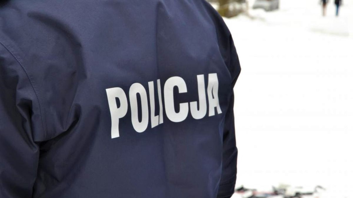 Policja. Fot. gov.pl/KMP w Nowym Sączu.