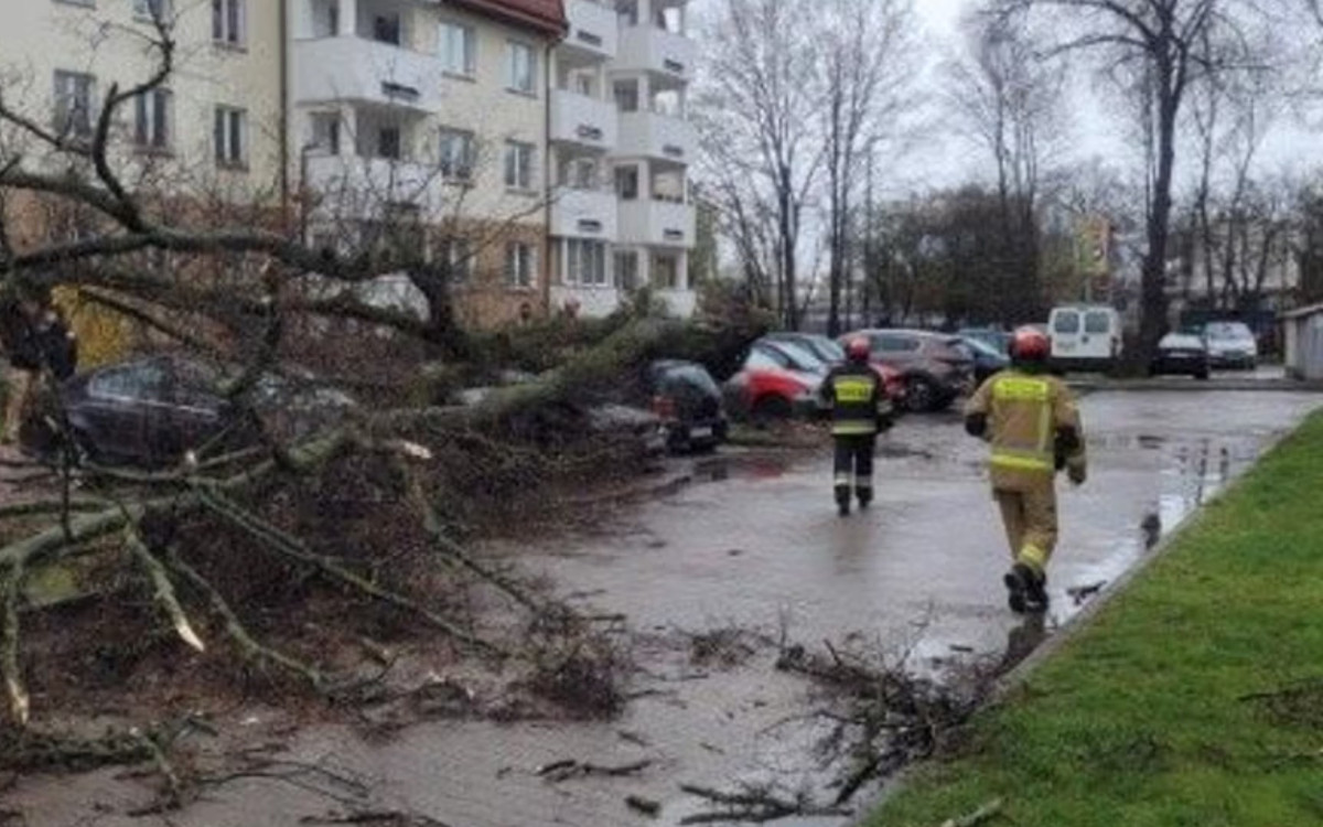 Tysiące Polaków bez prądu, powalone drzewa, poszkodowane osoby. Porażające skutki wichur w Polsce
