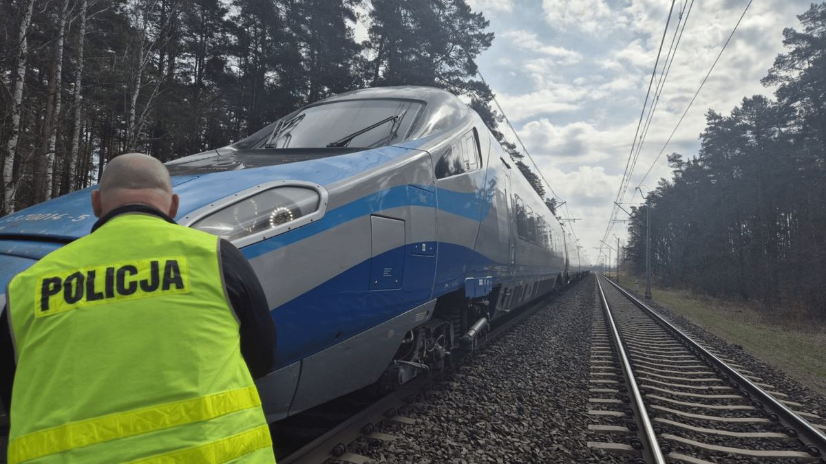 Pendolino potrąciło 14-latka, fot. KPP Iława