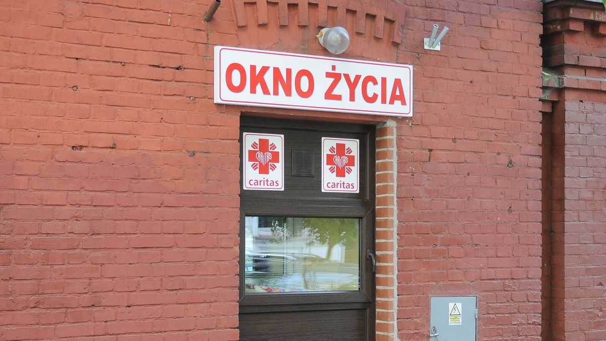 Okno życia. Fot. KAPIF